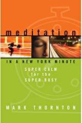 Mark Thornton  - Meditation In A New York Minute 